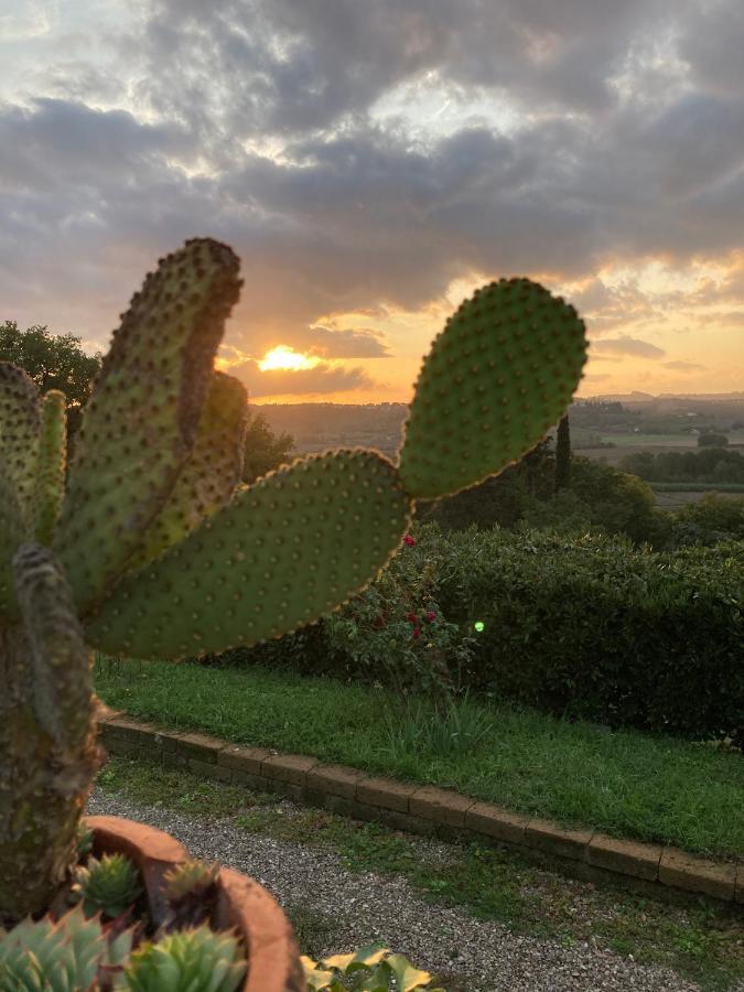 Sunset Hill - Tuscany - Villa & Private Pool Castelfiorentino Exterior foto